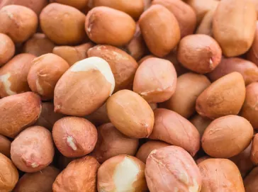 Groundnuts