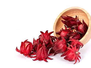 Hibiscus