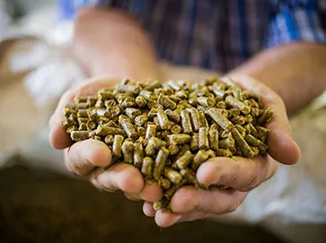 Pelleted Bran