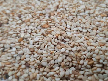 Sesame